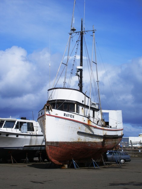 The Raven, a wooden fishing vessel, sits approximating her water-borne stance on blocks, the car in the background gives a little perspective for size